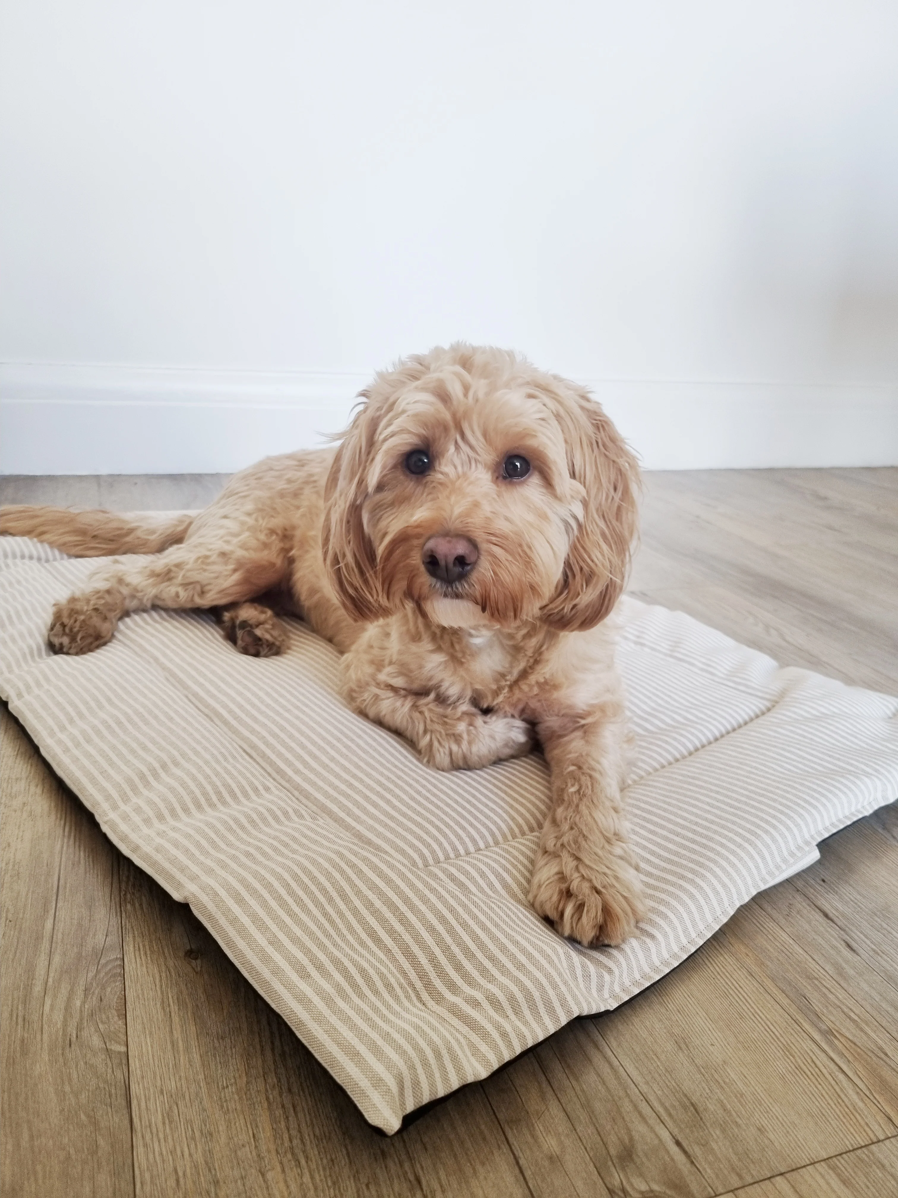 Dog settle mat/Travel mat - White stripes design - Image 6