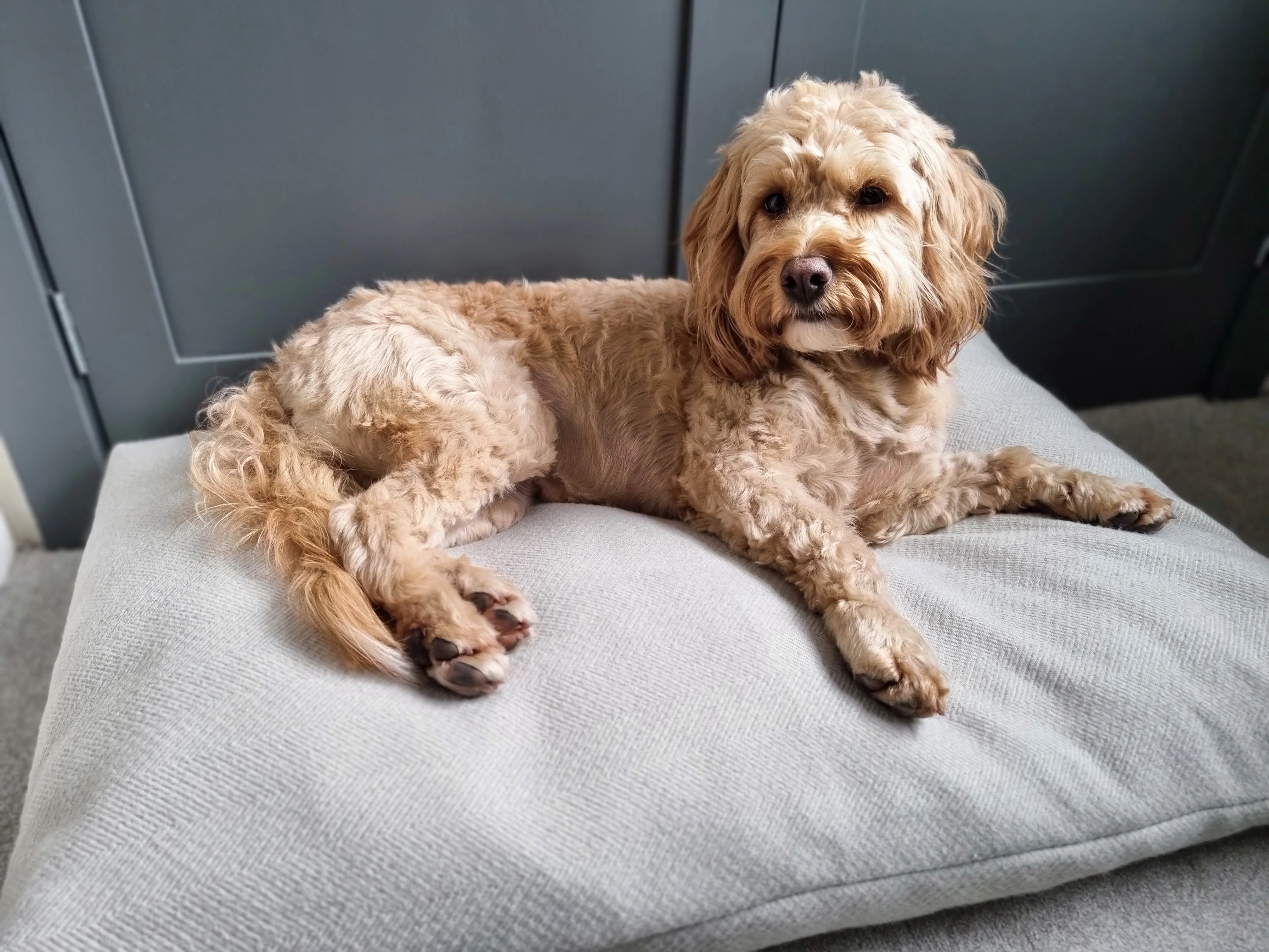 Spare bed cover made-to-measure - 9 fabrics available - Image 3